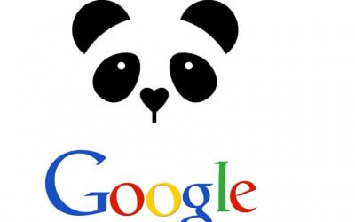 Newest Google Panda Update 4.2 Changes Rules on SEO